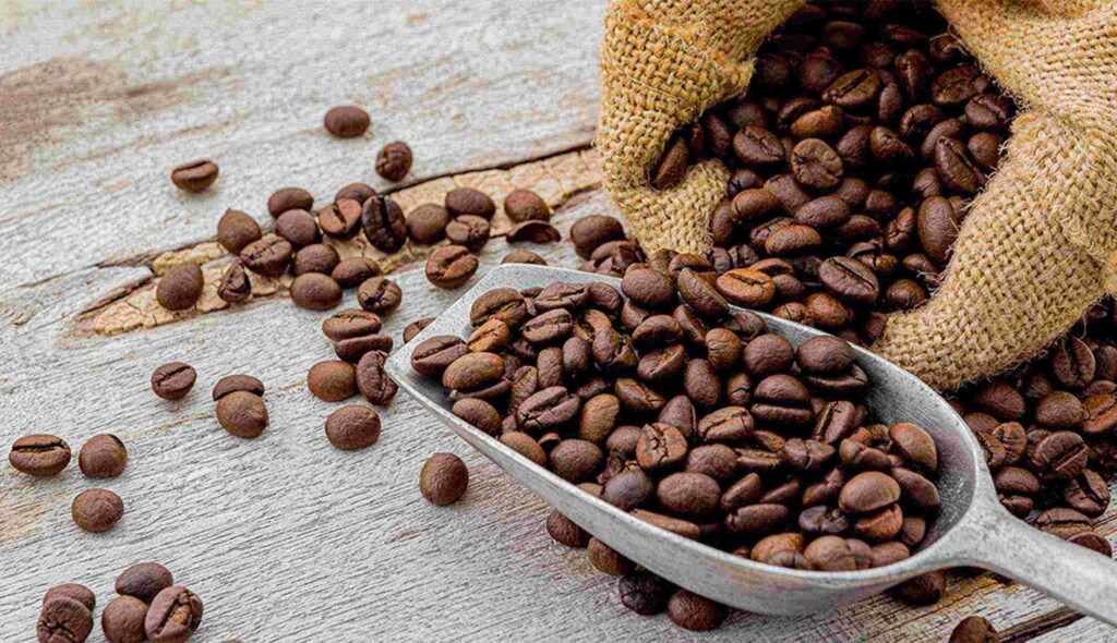 Discover the Richness of Indonesian Coffee