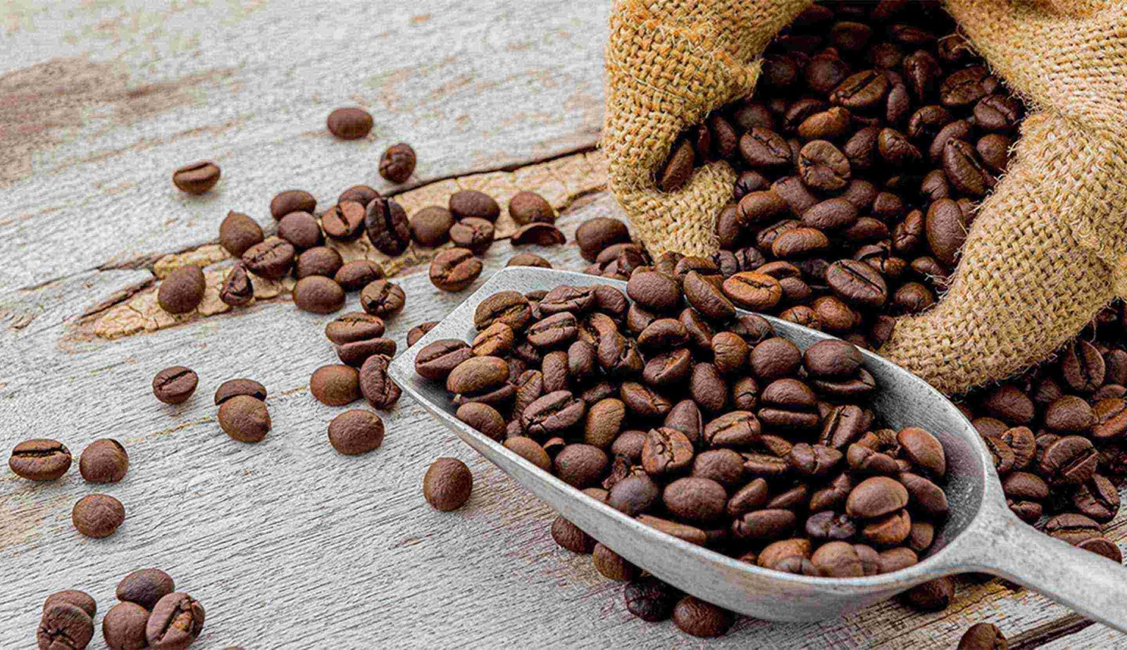 Discover the Richness of Indonesian Coffee