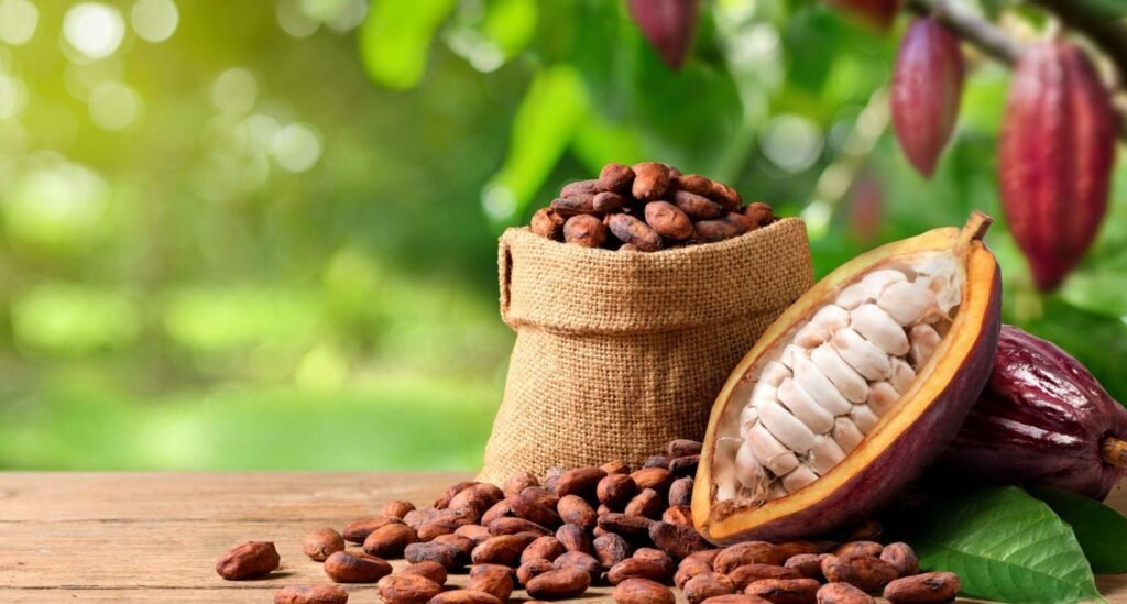 Indonesian Cocoa: The Hidden Gem of the Tropics